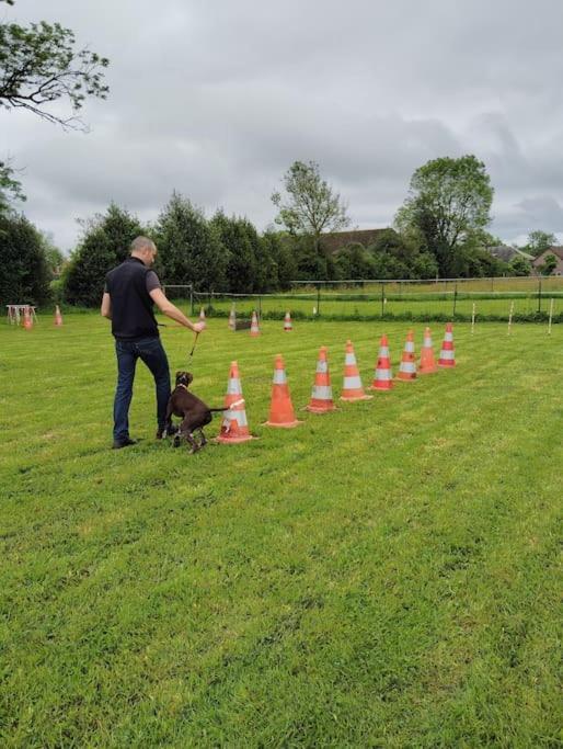 Gite Au Ptit Canin Moyenneville  Extérieur photo