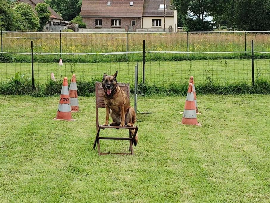 Gite Au Ptit Canin Moyenneville  Extérieur photo